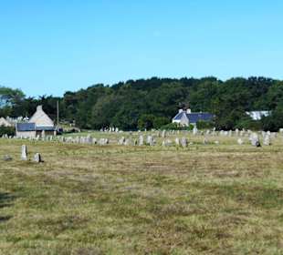 Hinkelstein-Feld Carnac