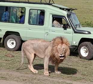 Ein prächtiger Kerl 