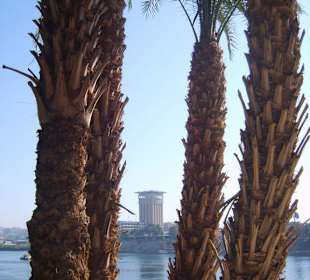 Blick zur Insel Elephantine