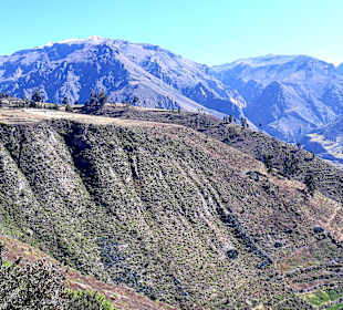 Colca-Canyon