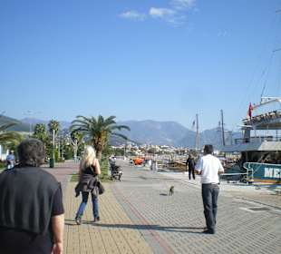 Aufsuchen unseres Schiffes