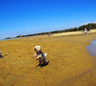 Bei den Buchten am Leuchtturm
