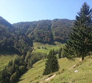 Die Lindtalalm 1.090m