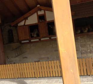 Erlebnispark Tripsdrill