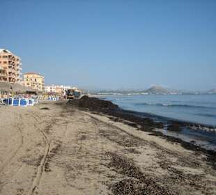 Can Picafort Strand nach dem Sturm