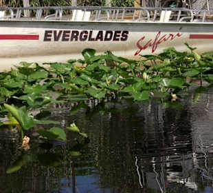 Everglades National Park