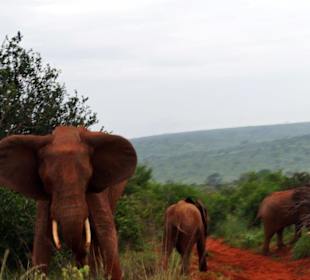Er wollte seine Familie beschützen