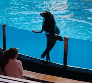 Loro Parque 