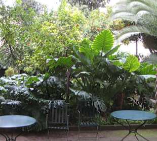 Banys Arabs: Blick in den Garten