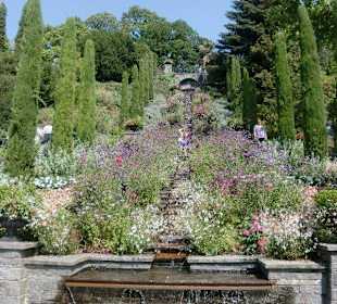 Terraussenblumen auf Mainau