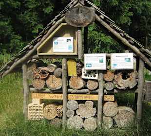 Tronchi d'albero utilizzati come alveari