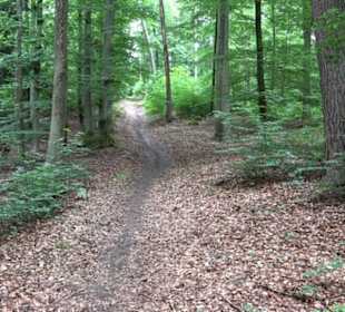 Wanderweg - Alter Steinbruch Pfaffenberg Runde
