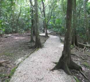 Ausflug mit Daniel zu den Maya Ruinen in Muyil