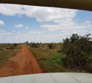 Erlebnisse und Wege der Safari