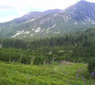 Tatrzański Park Narodowy