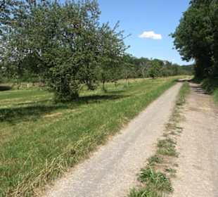 Eduard Lucas Musterobstgarten Mähringen