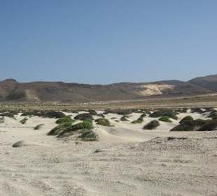 Sanddünen im Landesinnernen