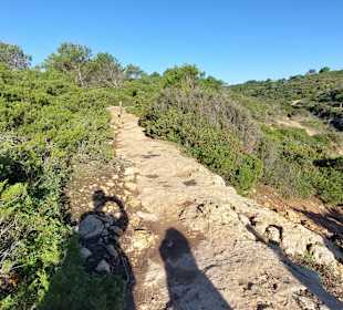 Seven Hanging Valleys Trail 