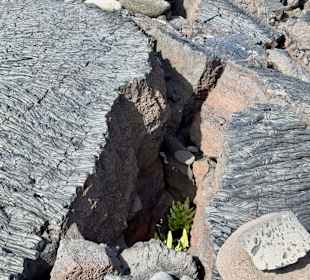 Volcano Hiking Tours