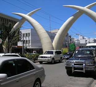 Stopzähne von Mombasa