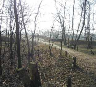 Wunderschöne Boberger Niederung