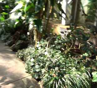 Gewächshäuser Botanischer Garten