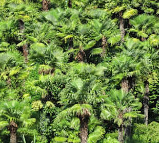 Impressionen vom Rundgang durch die Gärten