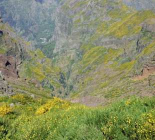 Einzigartige Landschaft