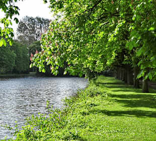 Impressionen vom Rundgang um die Gateteiche