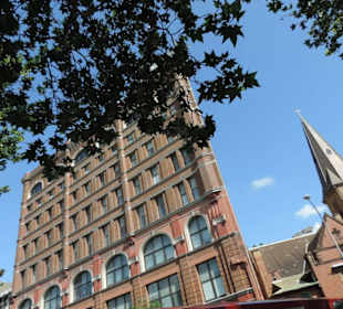 Mit dem Hop-on hop-off Bus in Sydney unterwegs