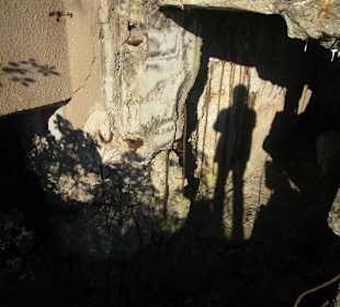 Mitten im Acker- leider offen