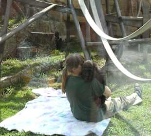 Bonobo Kinder spielen mit Pflegerin