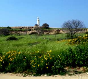 Archäologischer Park Kato Pafos