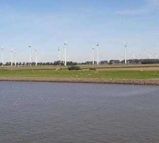 Am Ufer eine Anzahl von Windmühlen