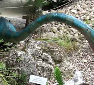 Dinosaurier Museum Altmühltal