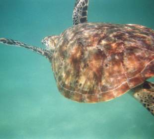 Ningaloo Reef Marine Park