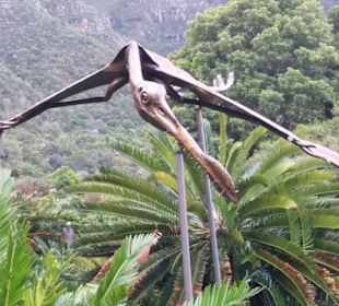 Flugsaurier- Skulptur in Kirstenbosch