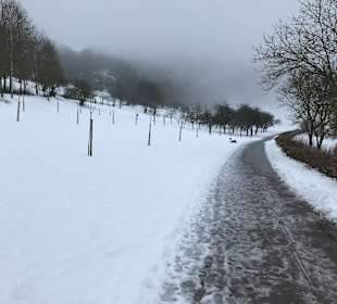 Wandern Schalkenmehren