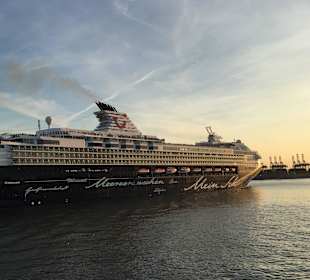 Aussicht,Restaurant Warsteiner Elbspeicher