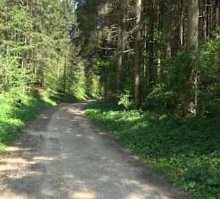 Premiumwanderweg Hochgehschätzt