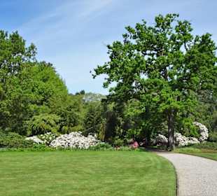 Impressionen aus dem Berggarten Hannover