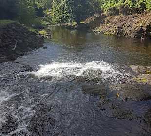Tagesausflugsziel Wasserfälle