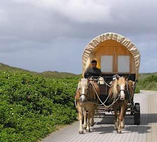 Der Juister Dünenbus