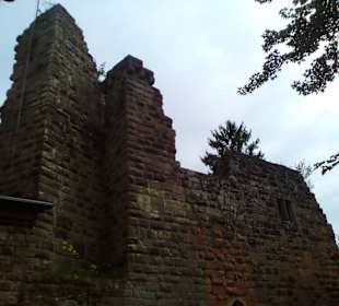 Burg Wilenstein in Trippstadt