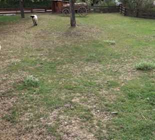 Erlebnispark Tripsdrill