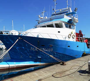 Fischtrawler im Hafen von Port Vendres