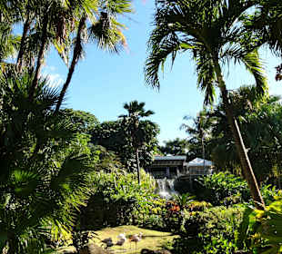 Impressionen aus dem Jardin Botanique de Deshaies