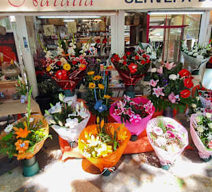 Stadtrundfahrt Palma