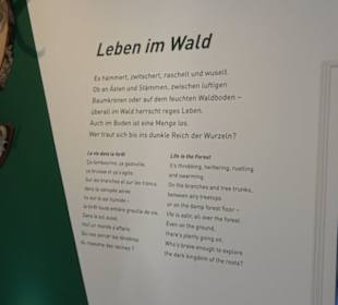 Museum Natur und Mensch