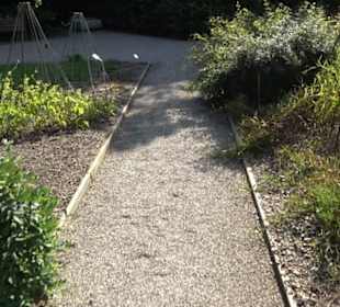 Botanischer Garten München